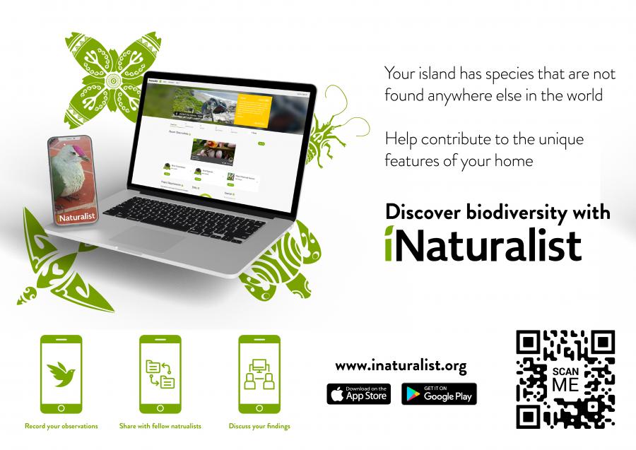 iNaturalist Niue Poster