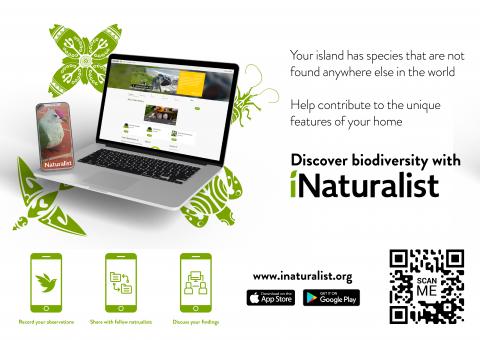iNaturalist Niue Poster